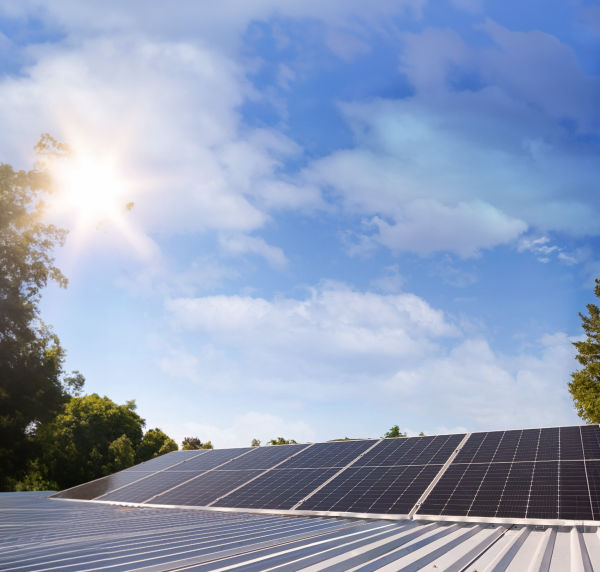 Sistema fotovoltaico en una tortillería de Puerto de Valle